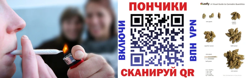 Бошки марихуана THC 21%  Змеиногорск 
